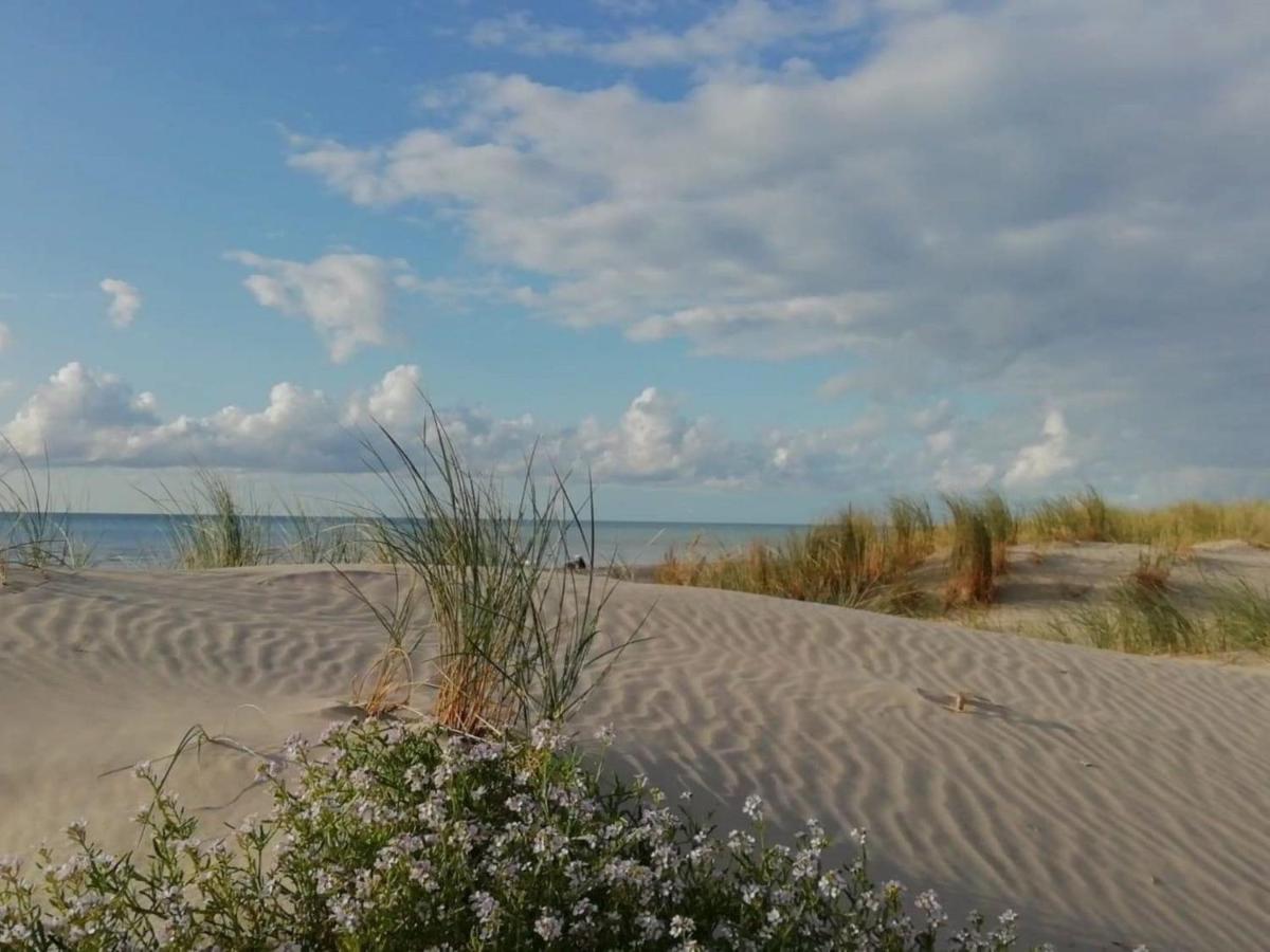 Fort-Mahon : Superbe T2 A 2 Pas De La Plage Avec Parking Prive - Fr-1-482-15 Екстер'єр фото